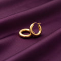 Piancas Earrings
